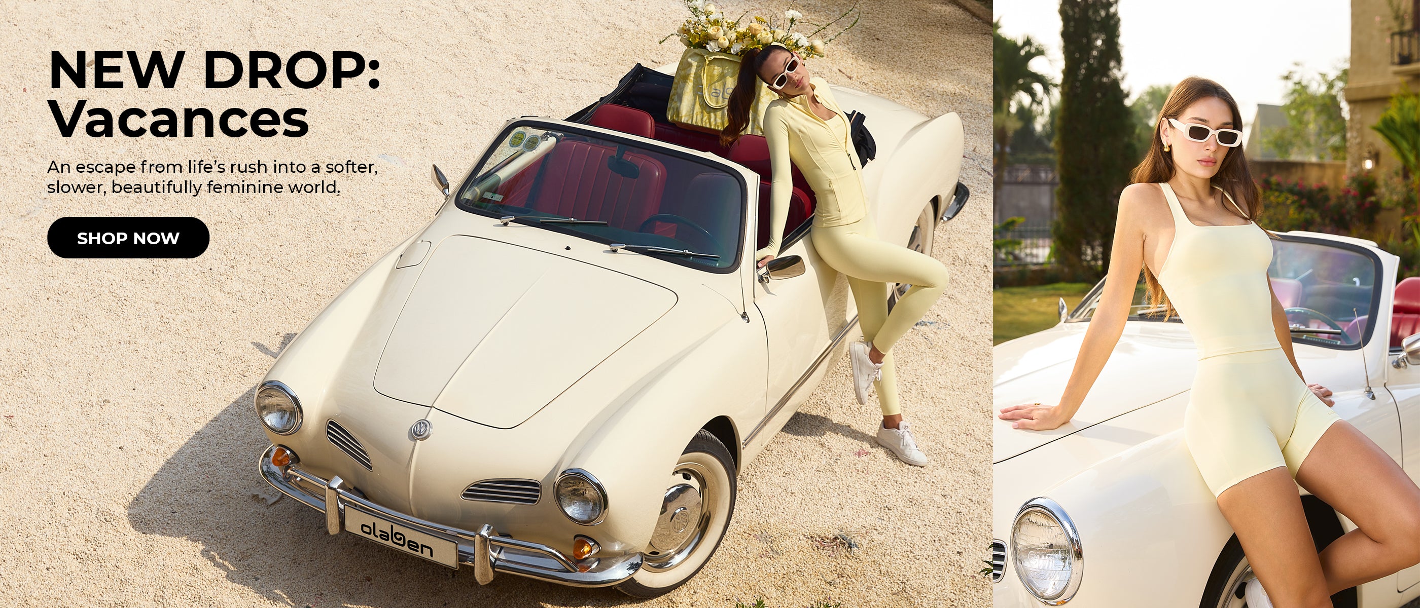 custom-slideshow-image-desktop-block_rNWFhx