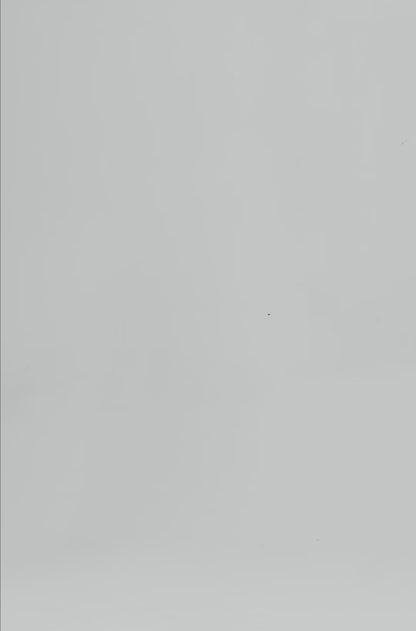 Evo Freedom Shorts - Glacier Blue